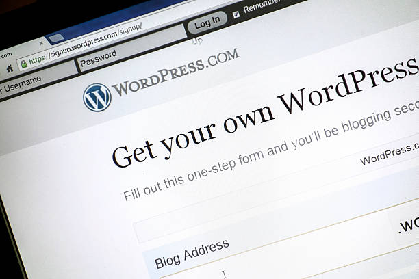 wordpress website